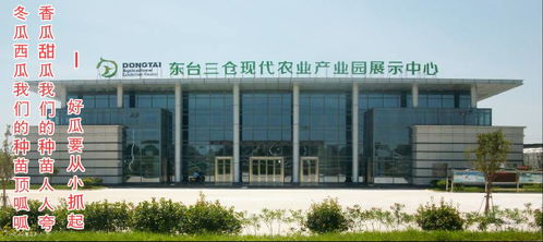 東臺市金豐園瓜果蔬菜專業(yè)合作社