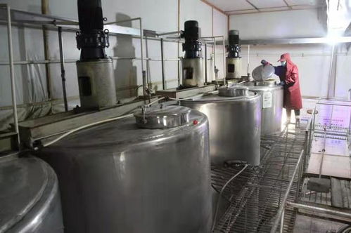 山西陽城 深耕糧食加工鏈條，賦能鄉村產業振興